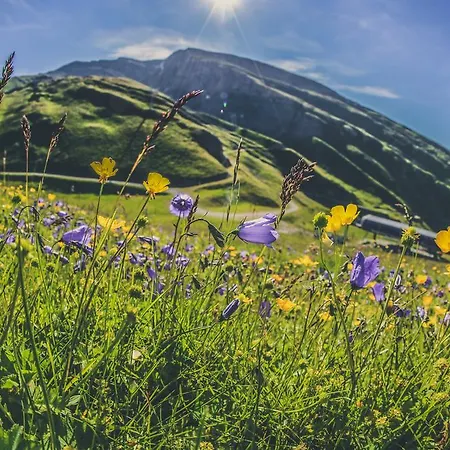 Appartementhaus La Promenade