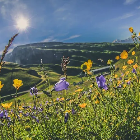 Appartement Appartementhaus La Promenade Leukerbad