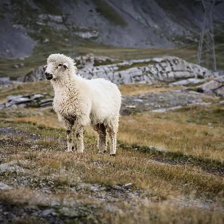 Appartement Appartementhaus La Promenade