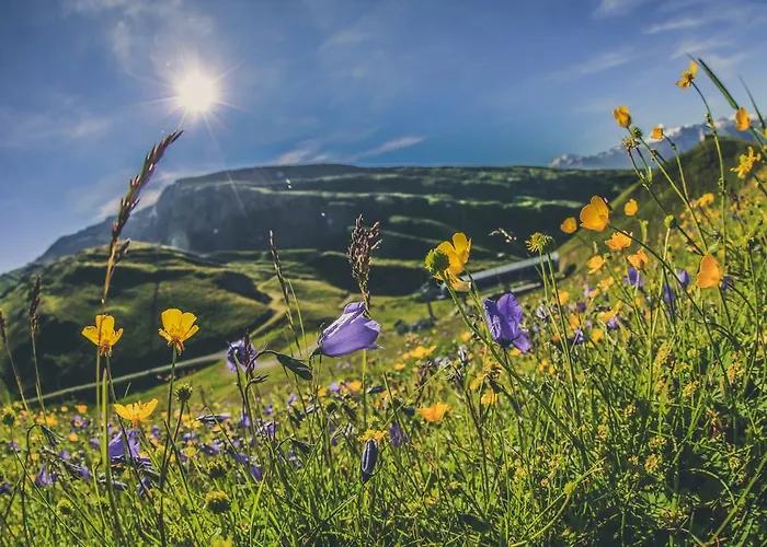 Διαμέρισμα Appartementhaus La Promenade Leukerbad