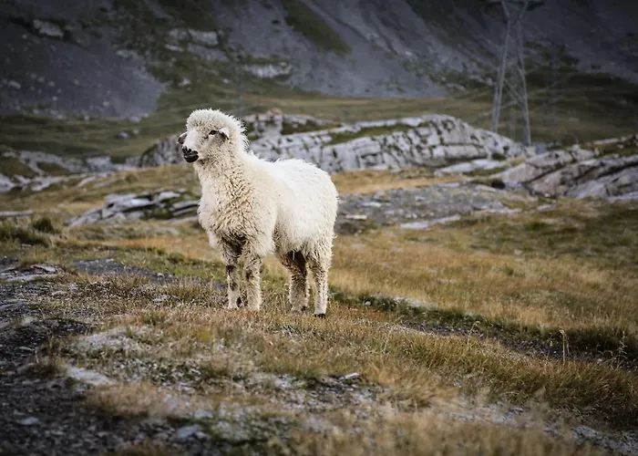 Διαμέρισμα Appartementhaus La Promenade